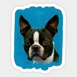 Boston Terrier dog Sticker